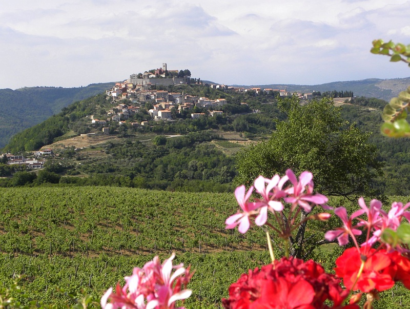 istria2009 753.jpg - Motovun